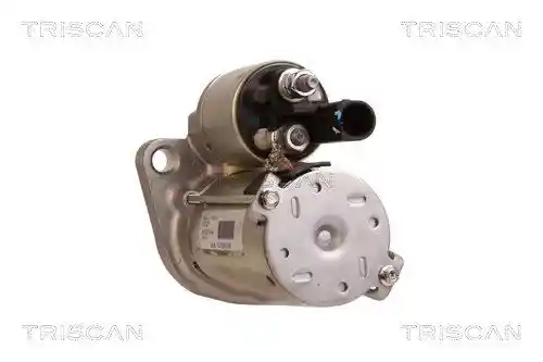 TRISCAN 8305 29031 TRISCAN 8305 29031