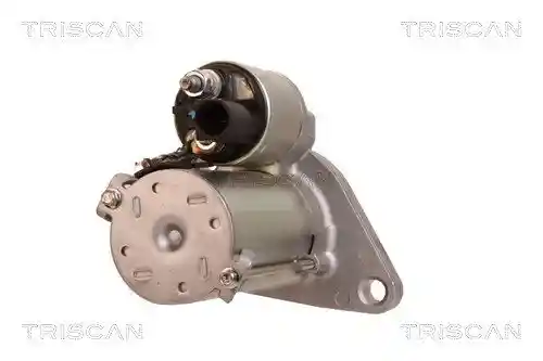 TRISCAN 8305 29031 TRISCAN 8305 29031