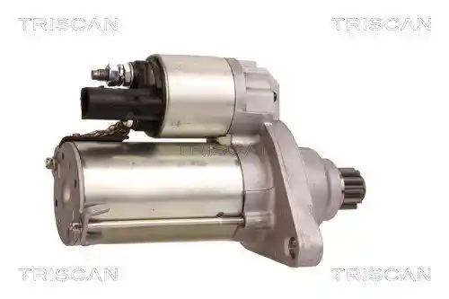 TRISCAN 8305 29031 TRISCAN 8305 29031