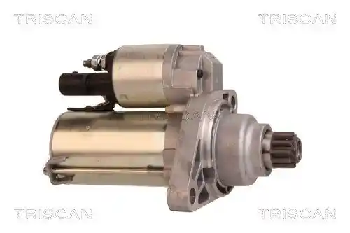 TRISCAN 8305 29031 TRISCAN 8305 29031