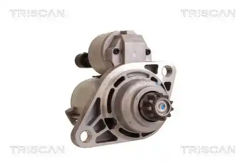 TRISCAN 8305 29031 TRISCAN 8305 29031
