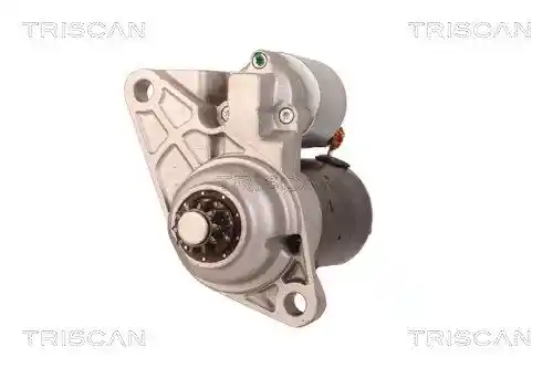 TRISCAN 8305 29036 TRISCAN 8305 29036