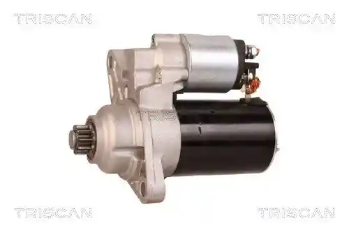 TRISCAN 8305 29036 TRISCAN 8305 29036