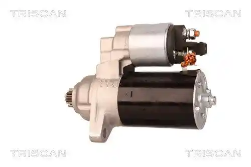 TRISCAN 8305 29036 TRISCAN 8305 29036