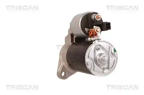 TRISCAN 8305 29036 TRISCAN 8305 29036