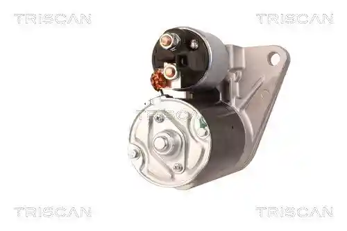 TRISCAN 8305 29036 TRISCAN 8305 29036