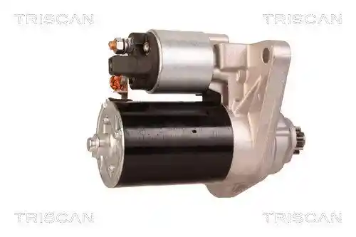TRISCAN 8305 29036 TRISCAN 8305 29036