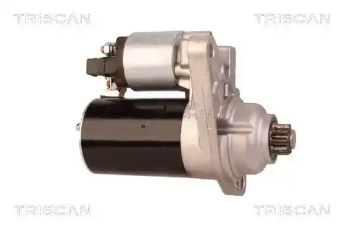 TRISCAN 8305 29036 TRISCAN 8305 29036