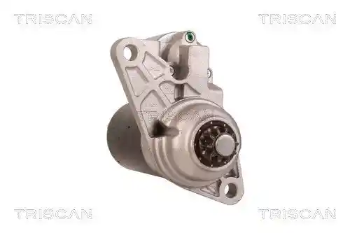 TRISCAN 8305 29036 TRISCAN 8305 29036