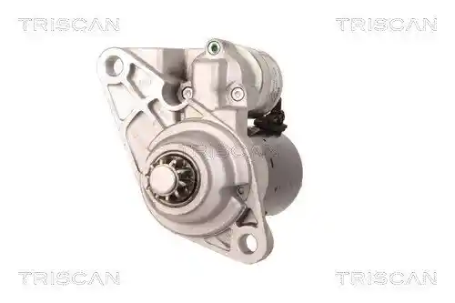 TRISCAN 8305 29037