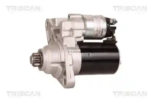 TRISCAN 8305 29037