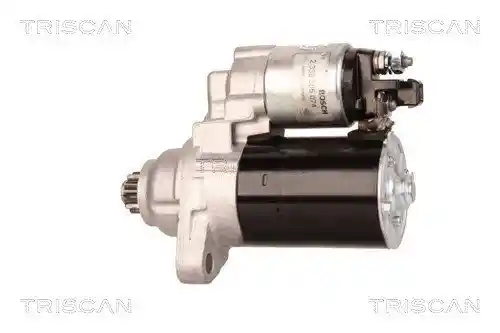 TRISCAN 8305 29037