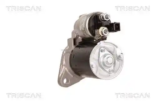 TRISCAN 8305 29037