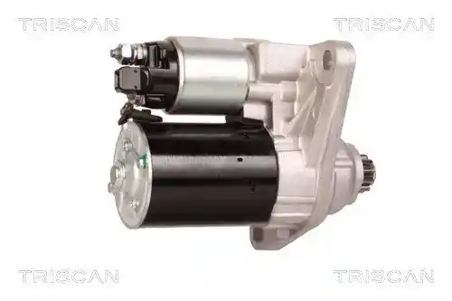 TRISCAN 8305 29037
