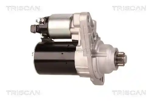 TRISCAN 8305 29037