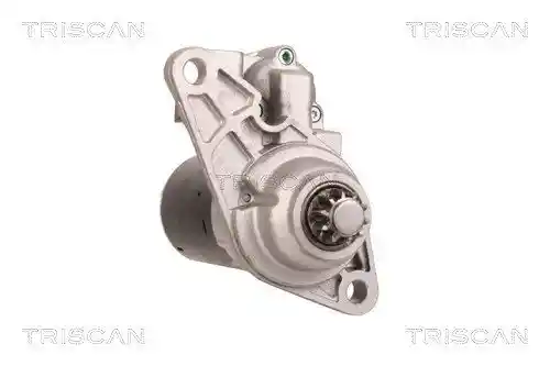 TRISCAN 8305 29037