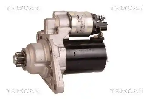 TRISCAN 8305 29038