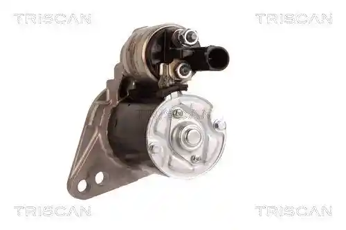 TRISCAN 8305 29038