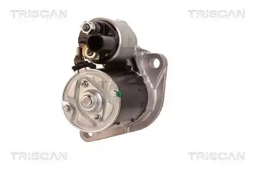 TRISCAN 8305 29038