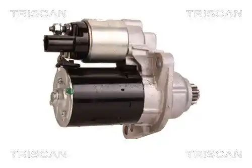 TRISCAN 8305 29038