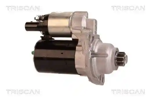 TRISCAN 8305 29038