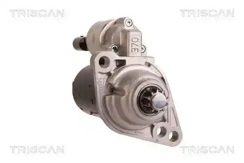 TRISCAN 8305 29038
