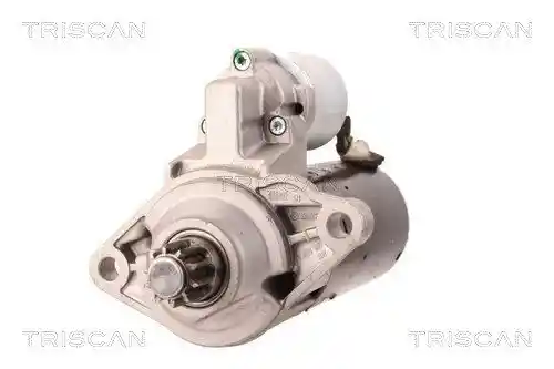 TRISCAN 8305 29039 TRISCAN 8305 29039