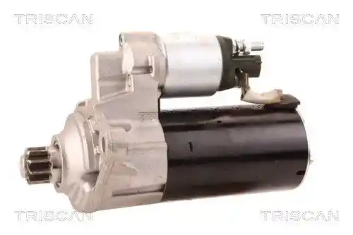 TRISCAN 8305 29039 TRISCAN 8305 29039