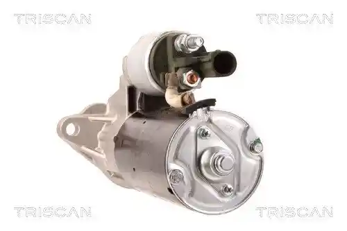 TRISCAN 8305 29039 TRISCAN 8305 29039