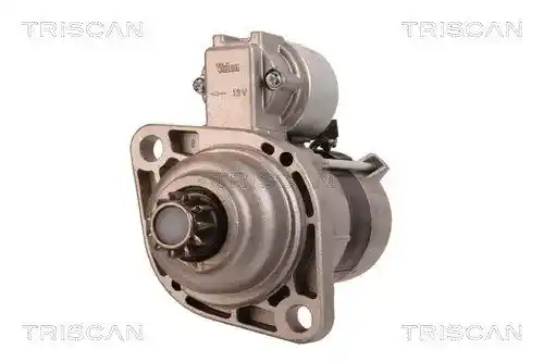 TRISCAN 8305 29041 TRISCAN 8305 29041