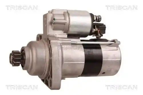 TRISCAN 8305 29041 TRISCAN 8305 29041