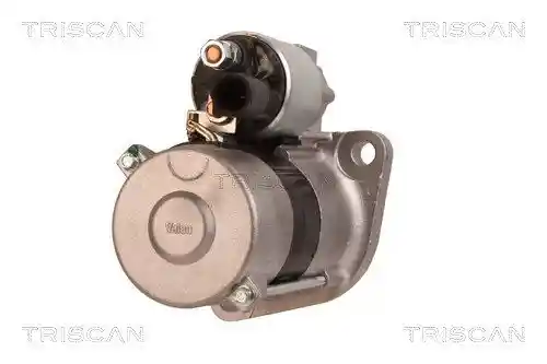 TRISCAN 8305 29041 TRISCAN 8305 29041