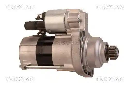 TRISCAN 8305 29041 TRISCAN 8305 29041