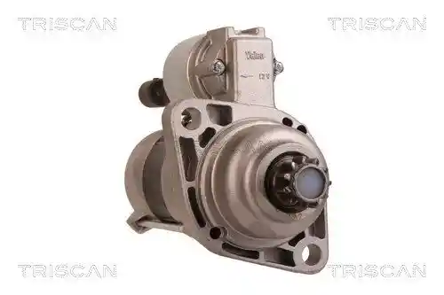 TRISCAN 8305 29041 TRISCAN 8305 29041