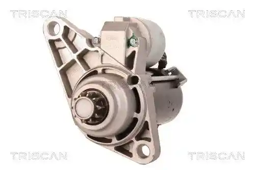 TRISCAN 8305 29042
