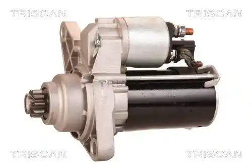 TRISCAN 8305 29042