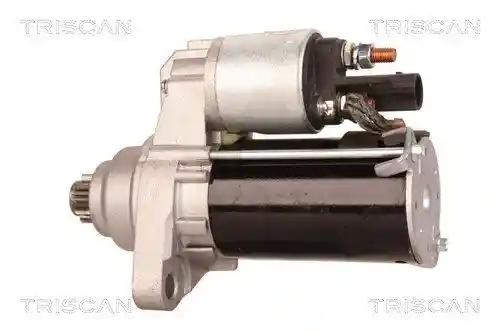 TRISCAN 8305 29042