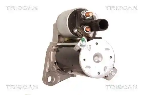 TRISCAN 8305 29042