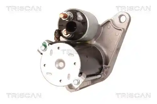 TRISCAN 8305 29042