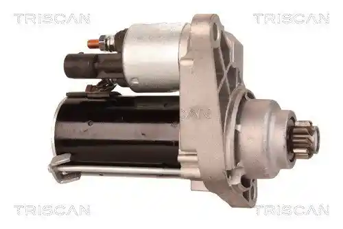 TRISCAN 8305 29042