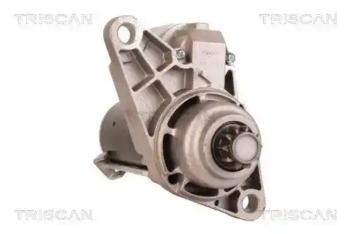 TRISCAN 8305 29042