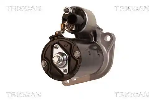 TRISCAN 8305 29047