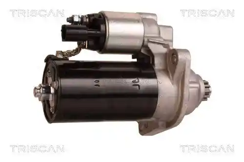 TRISCAN 8305 29047