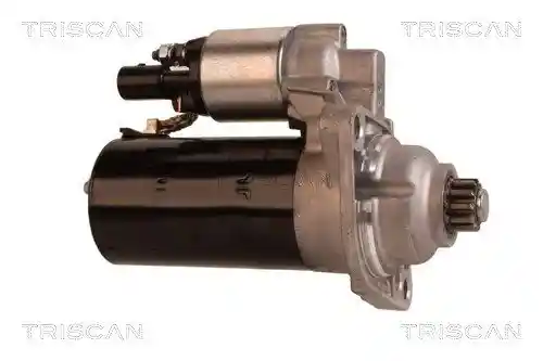 TRISCAN 8305 29047