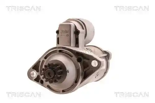 TRISCAN 8305 29050 TRISCAN 8305 29050