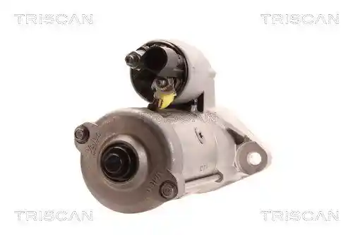 TRISCAN 8305 29050 TRISCAN 8305 29050
