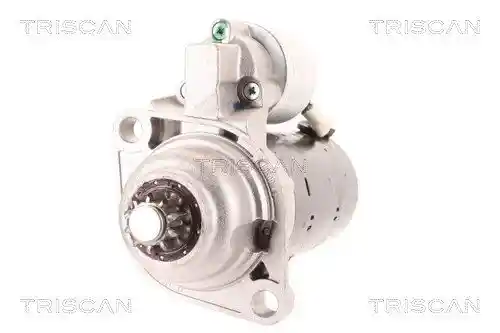 TRISCAN 8305 29076