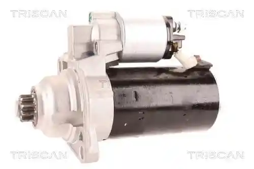 TRISCAN 8305 29076