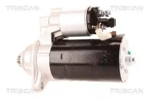 TRISCAN 8305 29076