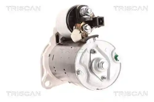 TRISCAN 8305 29076